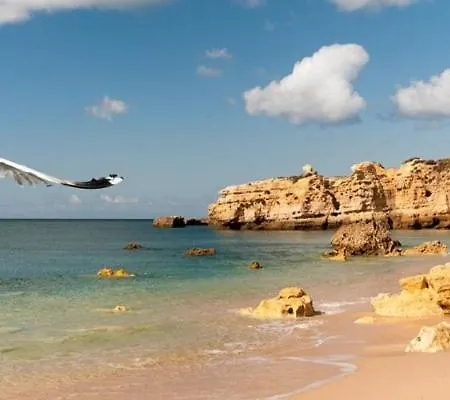 Espacoso Apt T2, Em Olhos Agua Albufeira Exterior photo